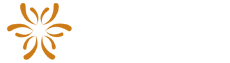 Thiết kế web Giai Điệu logo