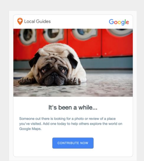 email tương tác lại